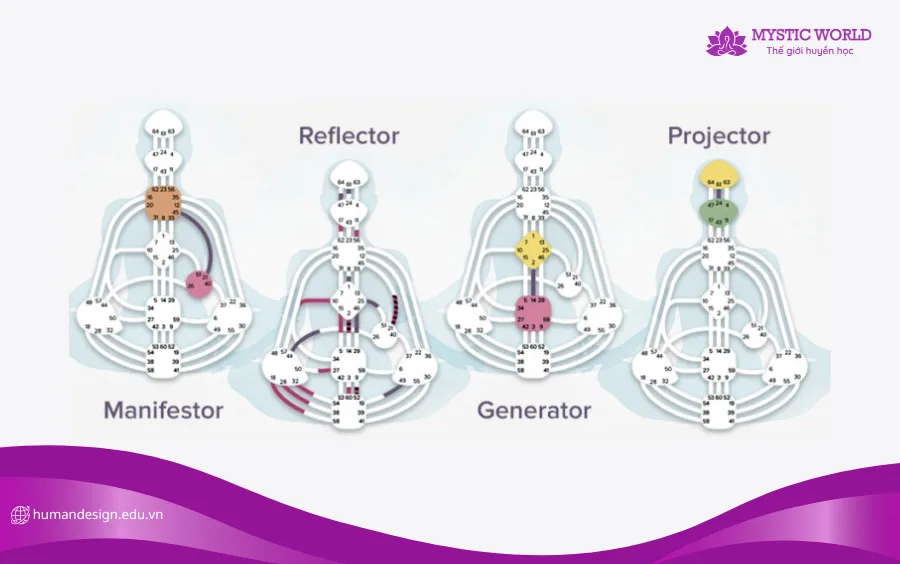 4 nhóm người trong Human Design