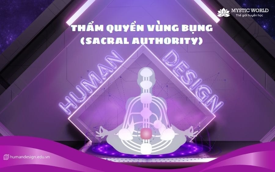 Thẩm quyền Vùng bụng (Sacral Authority) trong Human Design