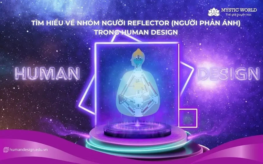 Tìm hiểu về nhóm người Reflector (Người Phản ánh) trong Human Design