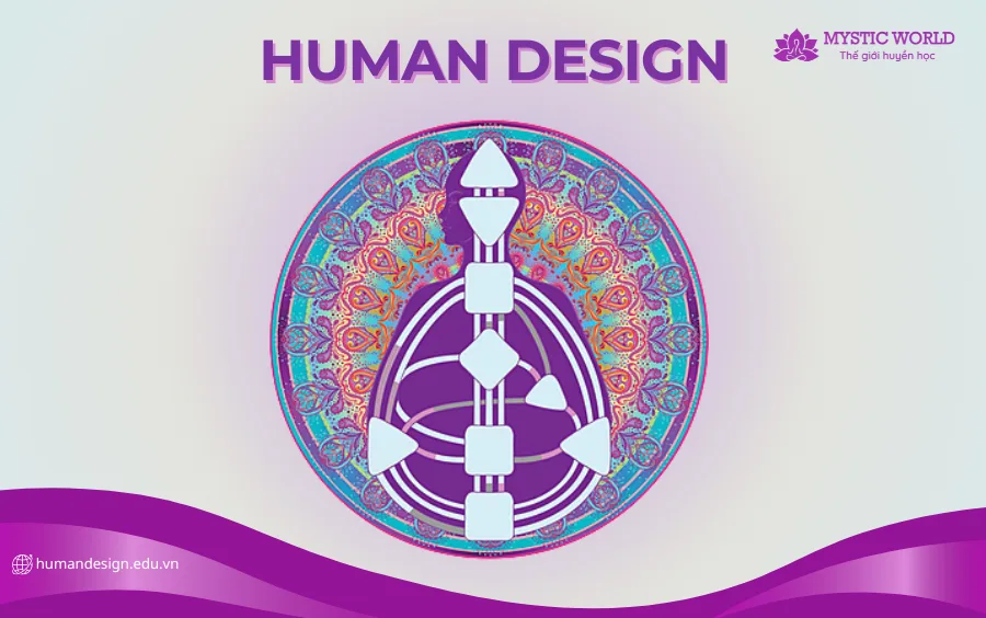 Hướng dẫn: Cách tự xác định 64 cổng của bản thân qua Bodygraph - Human Design