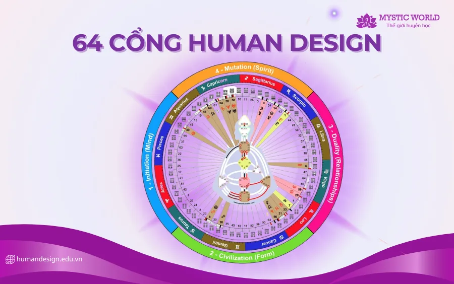 Human Design: Tìm hiểu chi tiết về 64 cổng