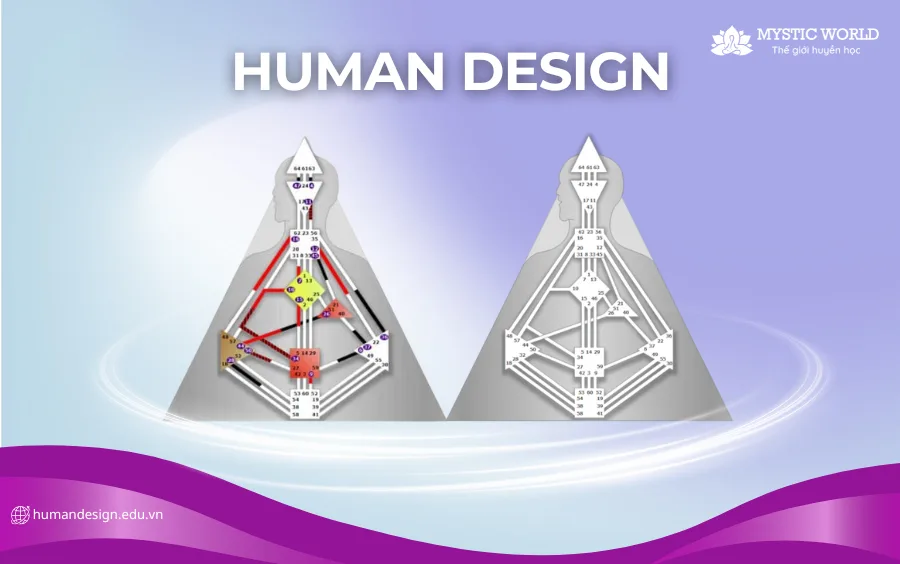 Trung tâm Xác định và Không Xác định trong Human Design