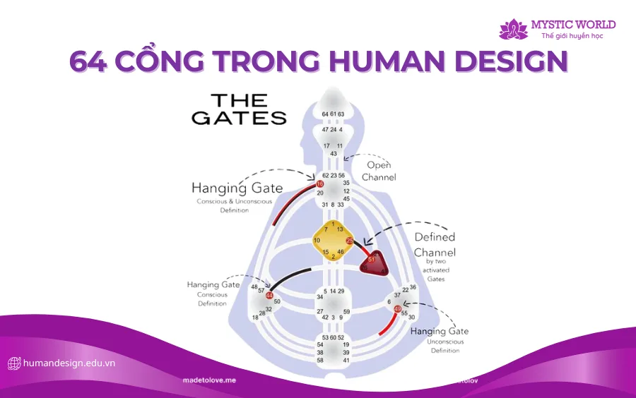 64 Cổng trong Human Design