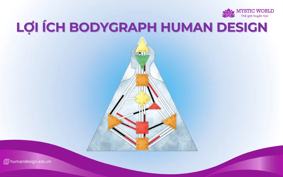 Lợi ích Bodygraph