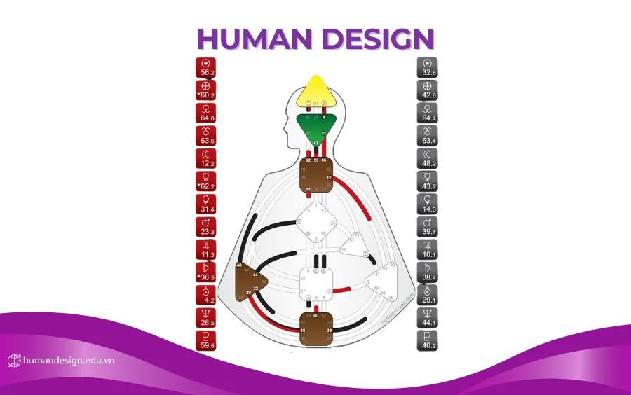 Biểu đồ cá nhân - Bodygraph Human Design