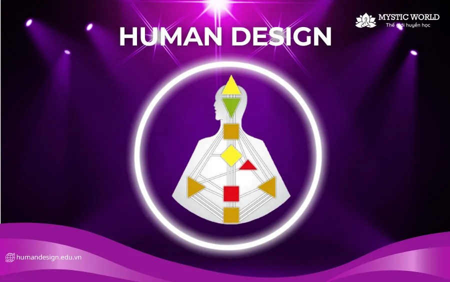 9 Trung tâm Human Design trong Biểu đồ Cá nhân Bodygraph: Cách hoạt động và ý nghĩa