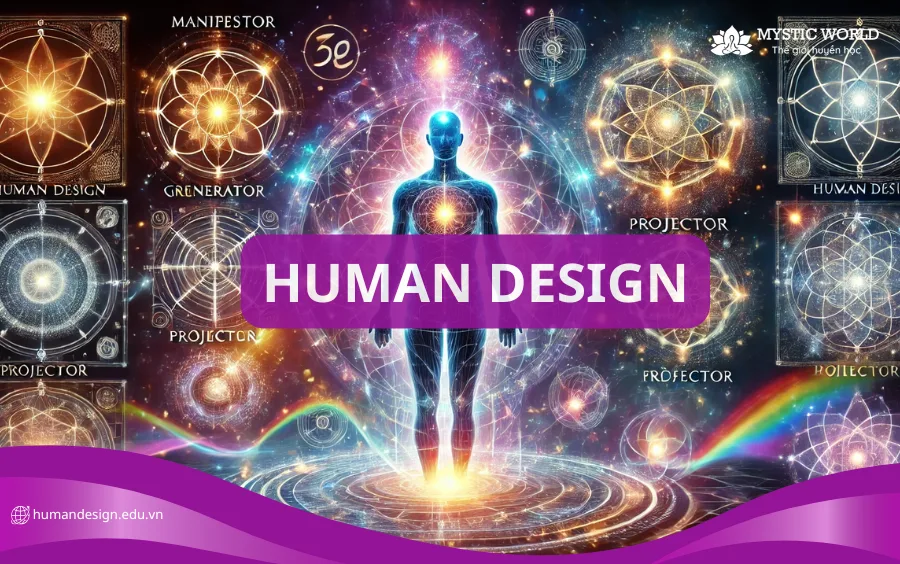 4 Nhóm Người Trong Human Design_ Điều Khiến Bạn Trở Nên Đặc Biệt & Đáng Tự Hào
