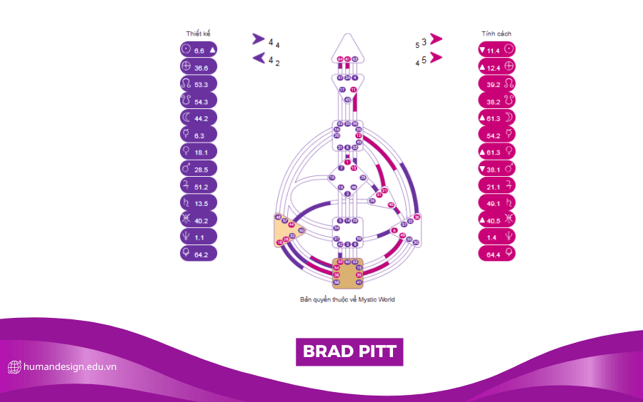 HÌNH ẢNH BIỂU ĐỒ HUMAN DESIGN CỦA BRAD PITT
