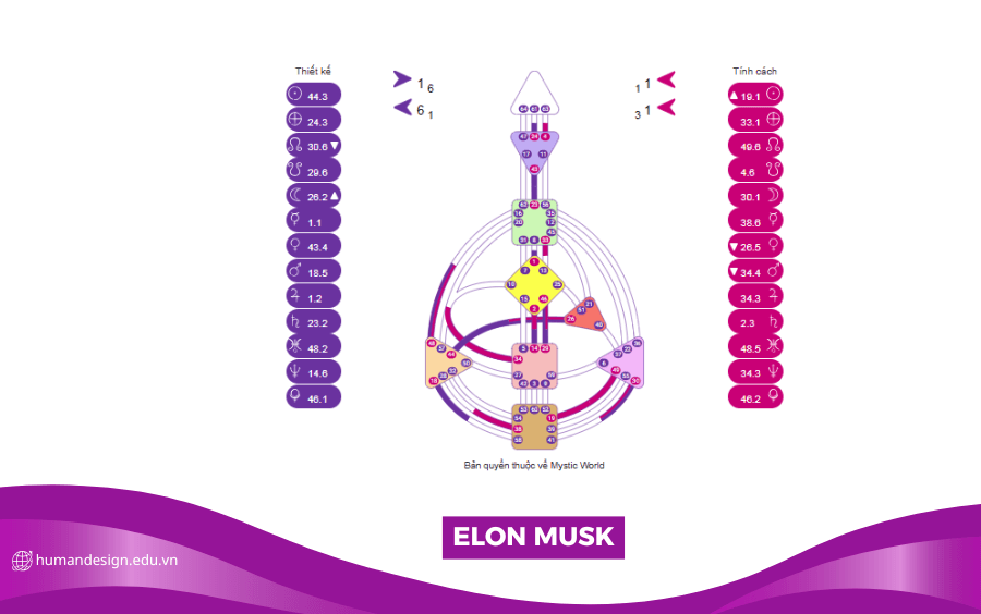HÌNH ẢNH BIỂU ĐỒ HUMAN DESIGN CỦA ELON MUSK
